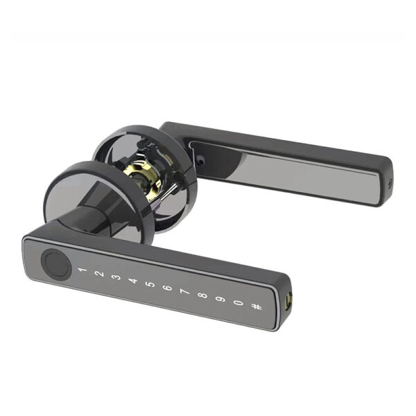 SK820 Smart Handle Lock | Fingerprint & PIN