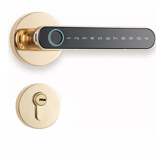 SK813 Smart Lever Lock | Fingerprint & Tuya BLE