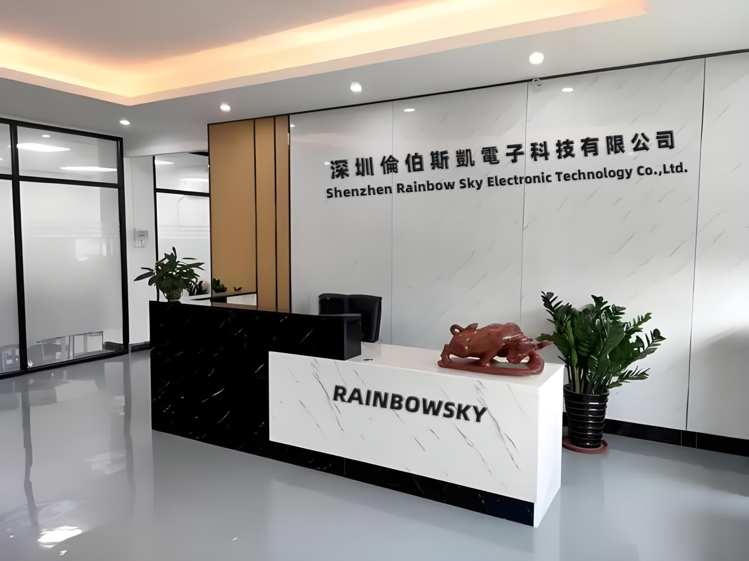 Reception at Shenzhen Rainbow Sky Electronic Technology Co., Ltd.