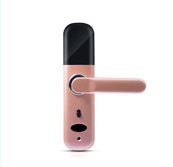 SK-R01 Fingerprint Door Lock | Tuya / TTLock
