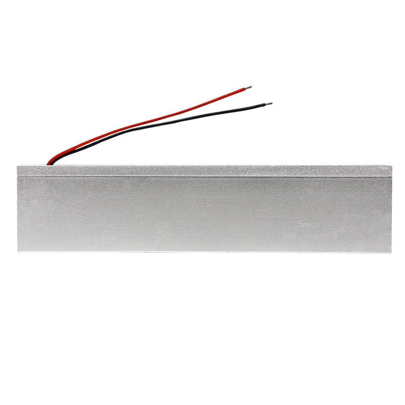 180kg electromagnetic lock back view silver mounting plate