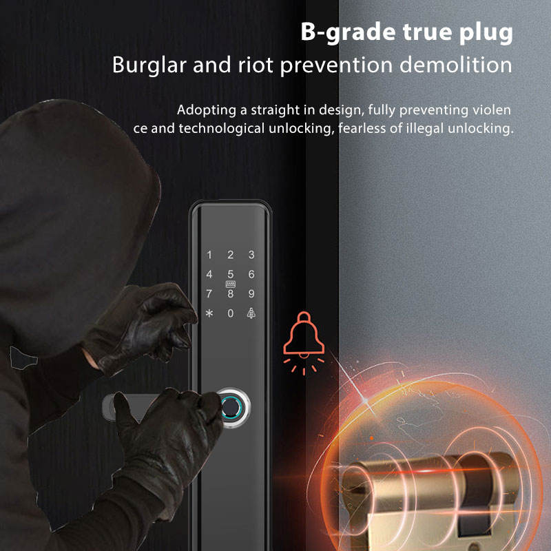 B grade true plug burglar prevention smart door lock