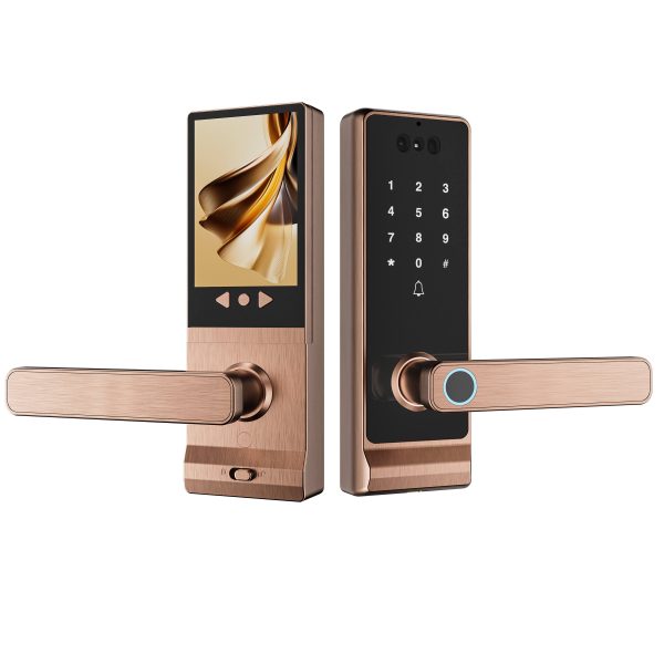 Tuya 3D Face Palm Vein Smart Deadbolt Lock SK-M03 – WiFi Video Intercom Door Lock