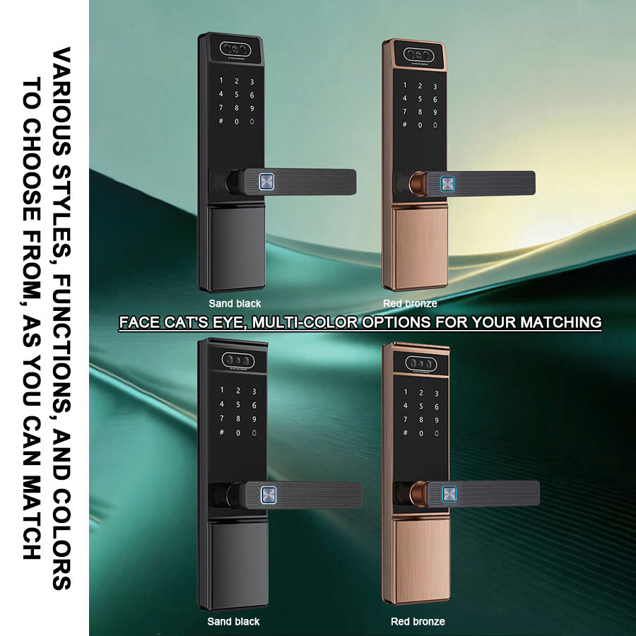 Smart door lock colors