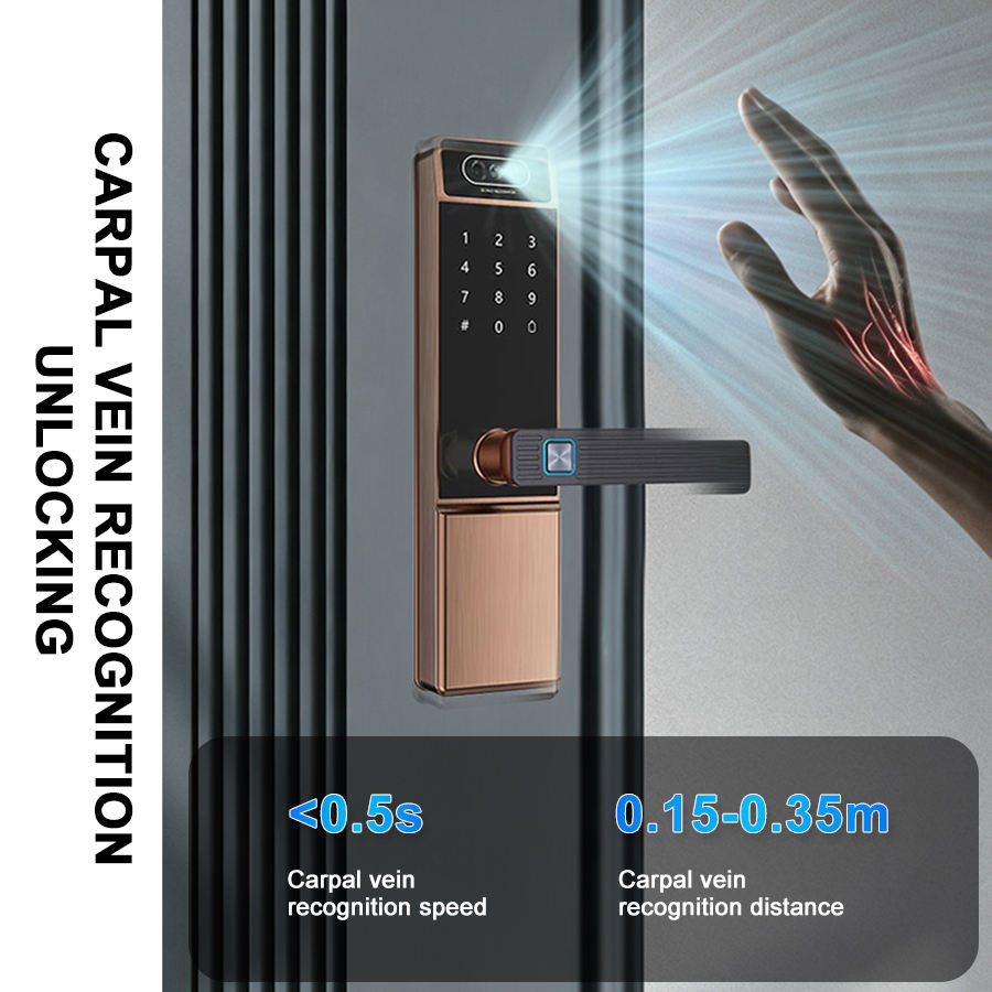 Palm vein recognition smart door lock