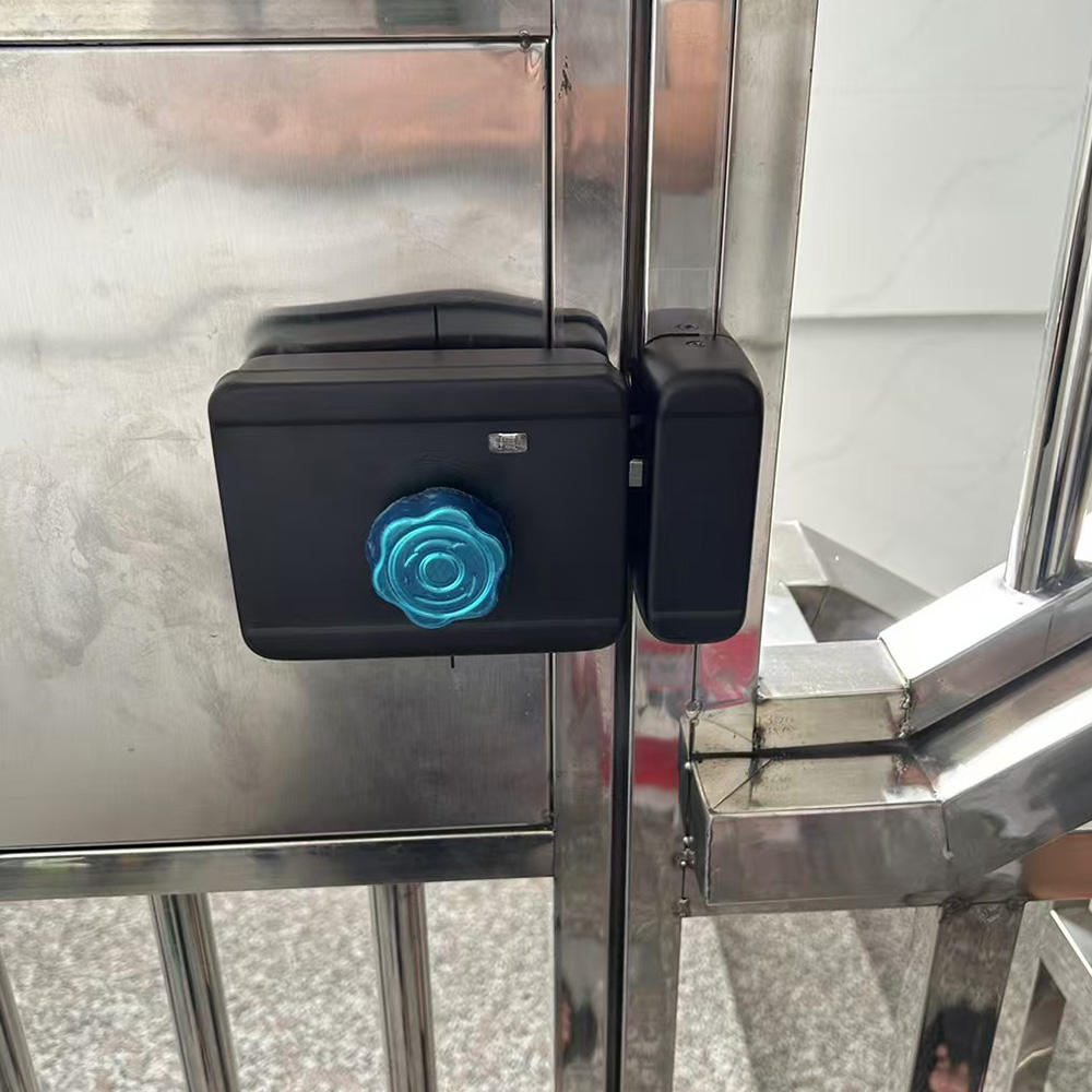 Outdoor smart rim lock installation