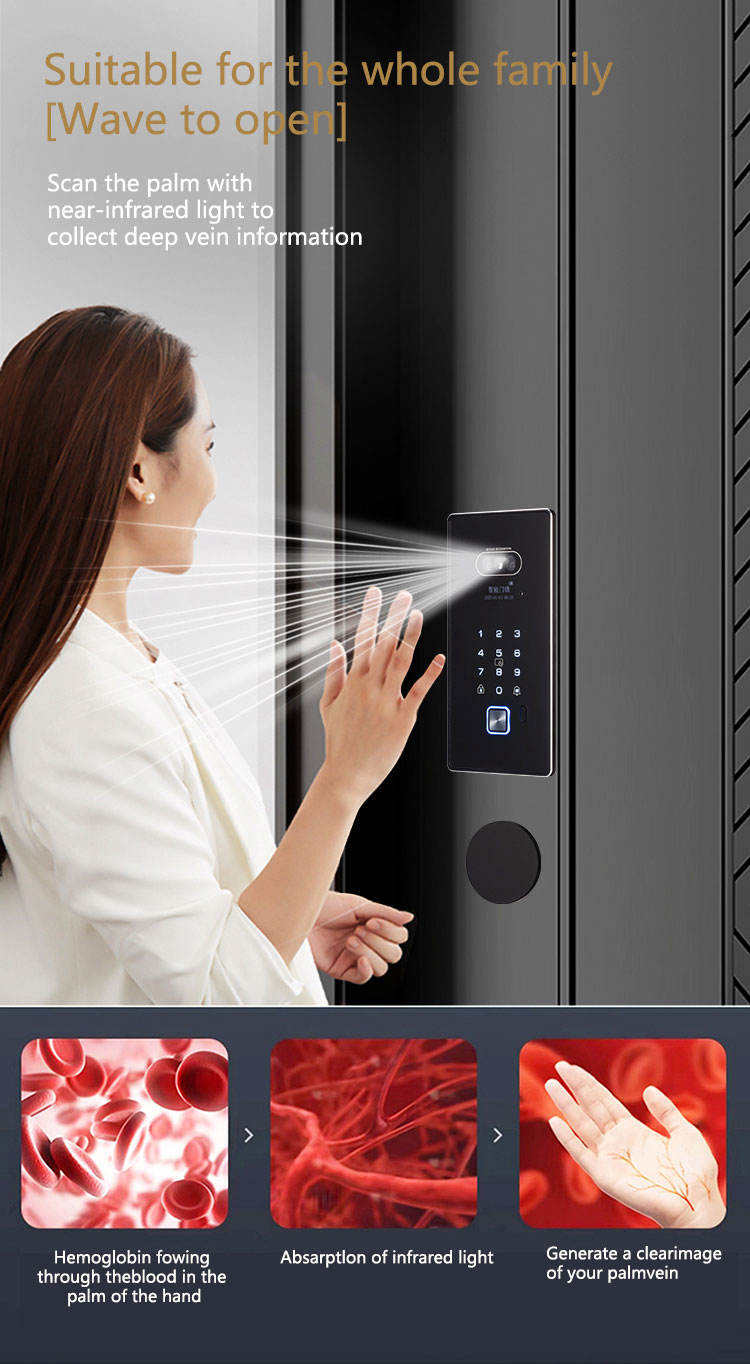 Palm vein recognition embedded smart lock