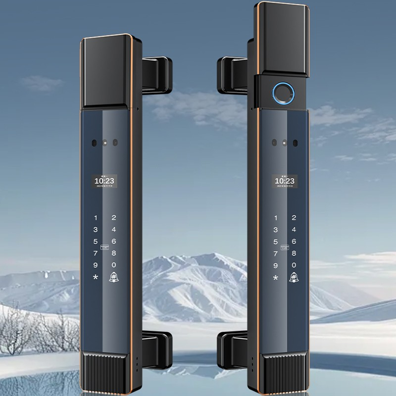 Outdoor palm print smart lock in snow